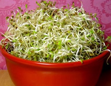 sprouts-in-bowl.jpg