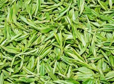 tea-leaves-lots.jpg tea-leaves-lots.jpg